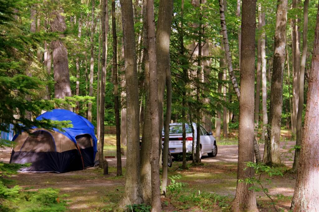 Photo of a supersaver campsite at Mackinaw Mill Creek Camping in Mackinaw City, MI. © 2016 Frank Rogala.