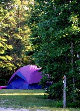 Photo of a tent site at Mackinaw Mill Creek Camping in Mackinaw City, MI. © 2016 Frank Rogala.