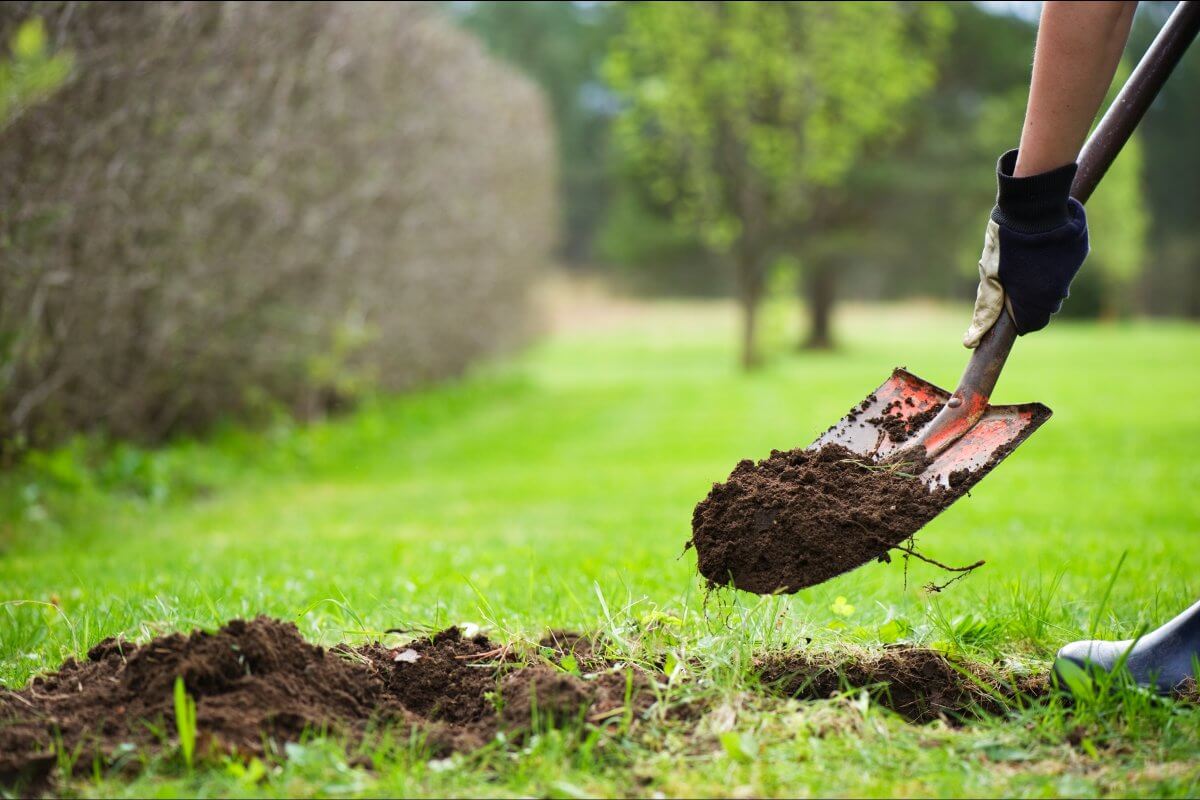 Maintenance and Grounds Staff work light maintenance, carpentry, landscaping, and groundskeeping.