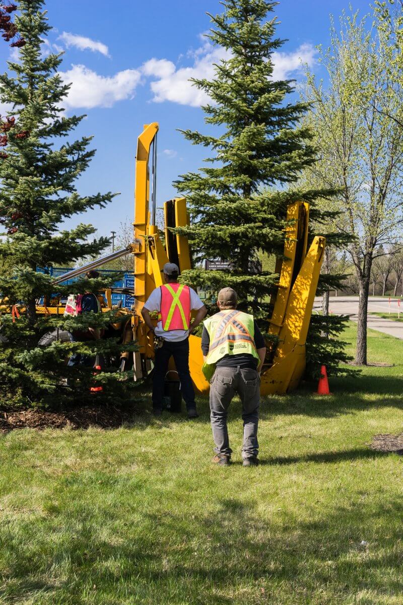 Local employment and job opportunities at Mackinaw Mill Creek Camping.