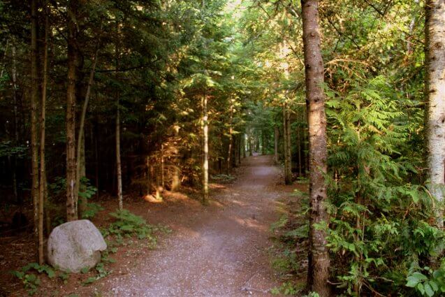 Photo of one of the many hiking trails at Mackinaw Mill Creek Camping in Mackinaw City, MI. © 2016 Frank Rogala.