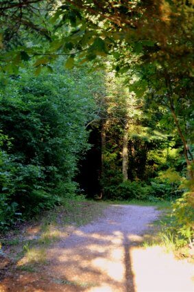 Photo of a hiking trail at Mackinaw Mill Creek Camping in Mackinaw City, MI. © 2016 Frank Rogala.