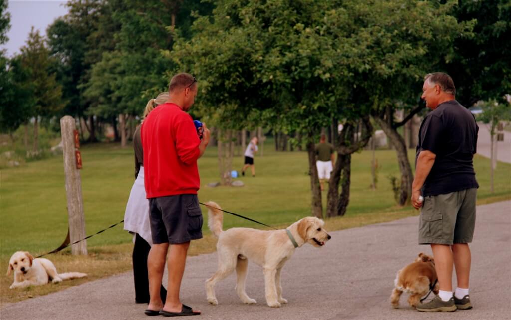 Photo of campers walking their dogs at Mackinaw Mill Creek Camping in Mackinaw City, MI. © 2016 Frank Rogala.