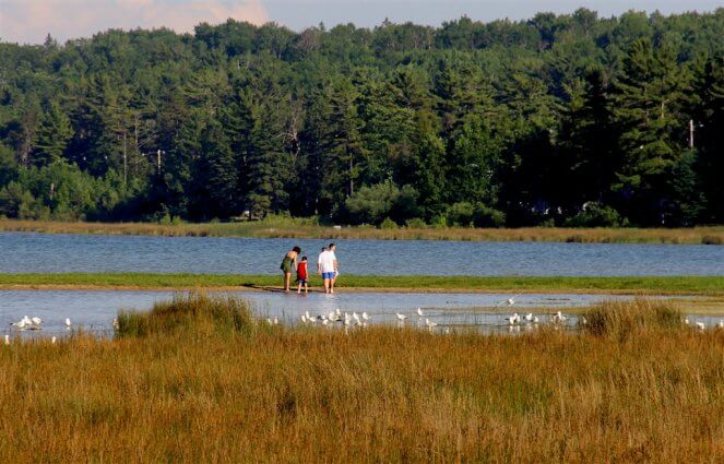 Photo of campers and birds at Mackinaw Mill Creek Camping in Mackinaw City, MI. © 2016 Frank Rogala.