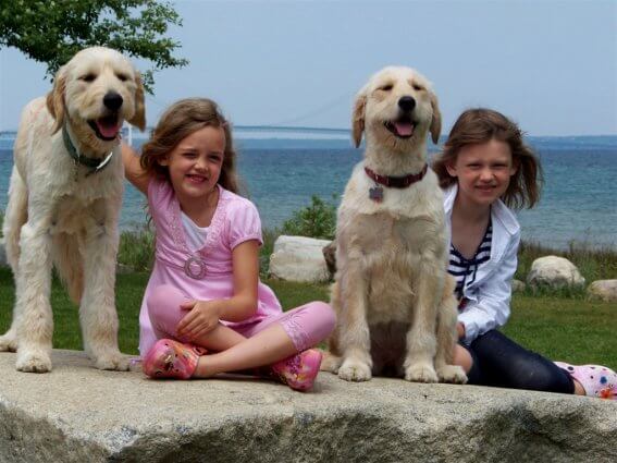 Photo of dogs at a pet-friendly Mackinaw Mill Creek Camping in Mackinaw City, MI. © 2016 Frank Rogala.