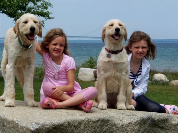 Photo of dogs at a pet-friendly Mackinaw Mill Creek Camping in Mackinaw City, MI. © 2016 Frank Rogala.