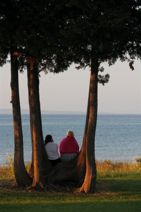 Photo of campers sitting on twisted Cedar trees along the shoreline at Mackinaw Mill Creek Camping in Mackinaw City, MI. © 2016 Frank Rogala.