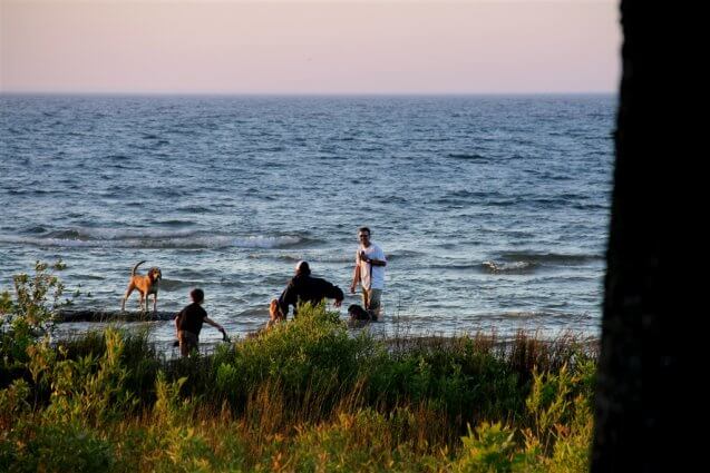 Photo of campers and their dogs playing in the water at Mackinaw Mill Creek Camping in Mackinaw City, MI. © 2016 Frank Rogala.